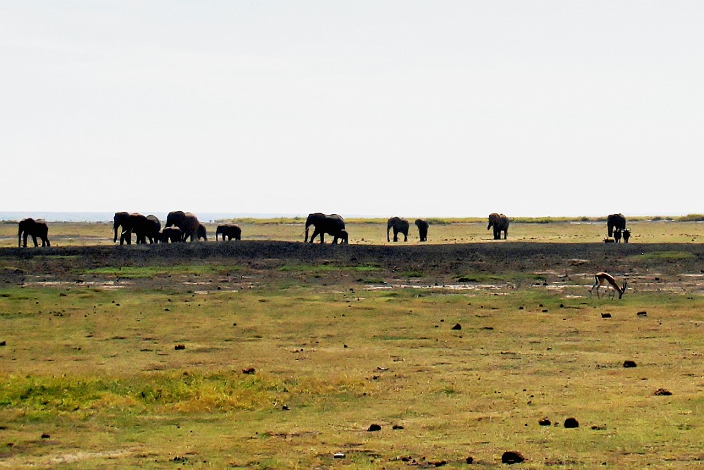 Kenia (135).jpg